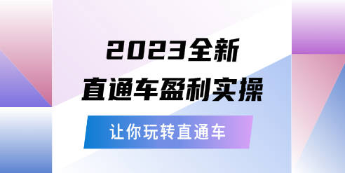 2023全新直通车·盈利实操：从底层，策略到搭建，让你玩转直通车