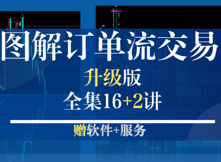 《图解订单流交易》全集19讲