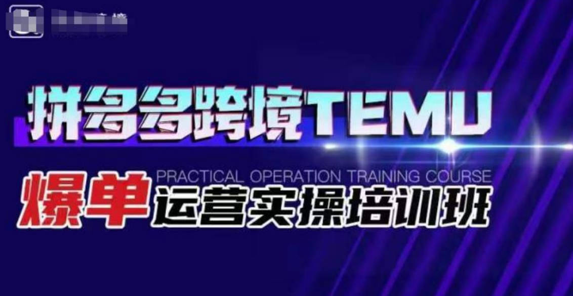 拼多多跨境TEMU爆单运营实操培训班，海外拼多多的选品、运营、爆单