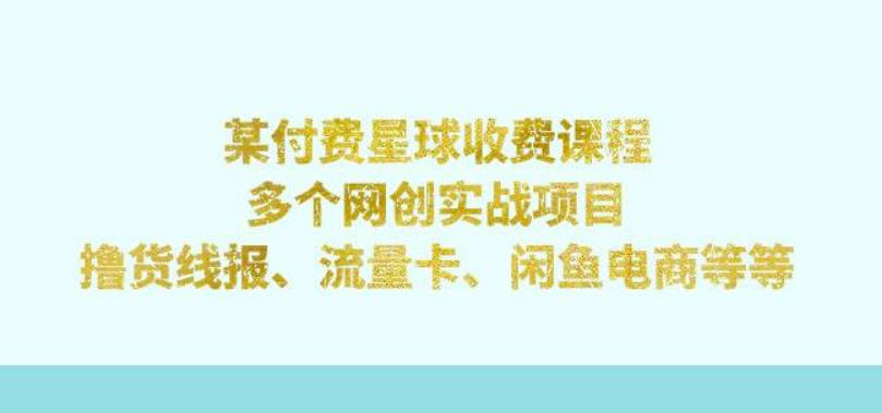 某付费星球课程：多个网创实战项目，撸货线报、流量卡、闲鱼电商等（文档非视频）