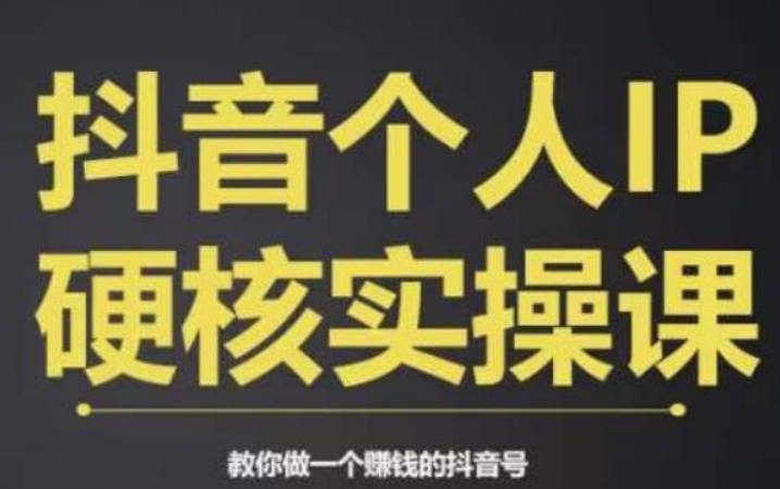 个人IP创富系统实战课，商业定位，流量打造，短视频变现，教你做个赚钱的抖音号