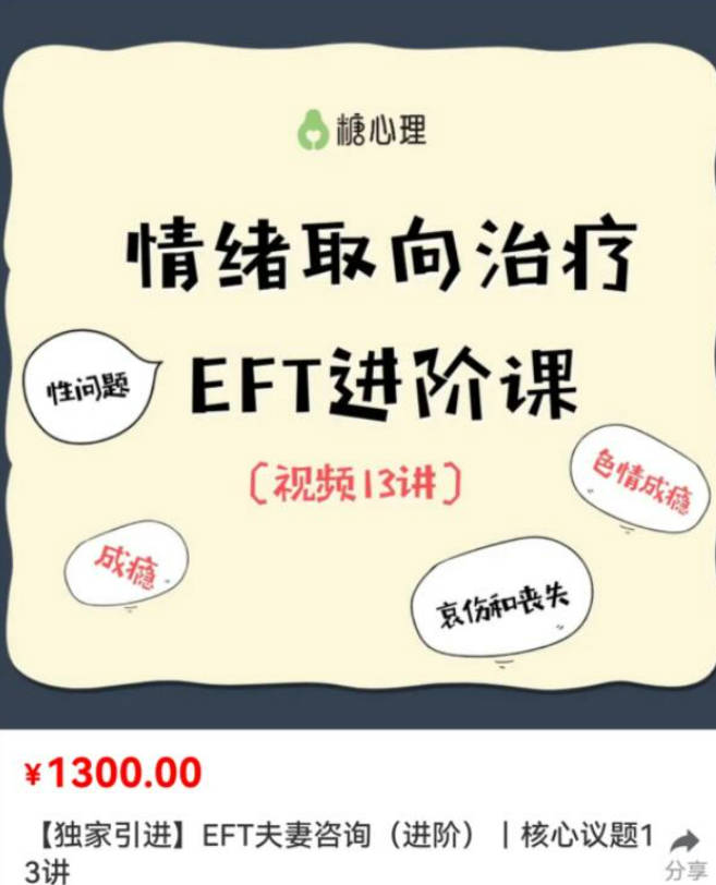 EFT夫妻咨询进阶核心13讲