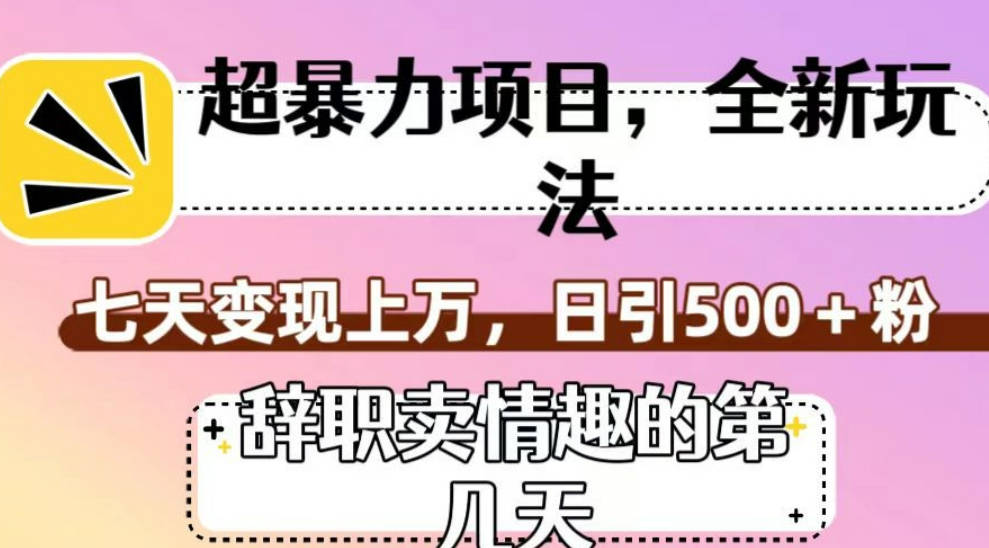 超暴利项目，全新玩法（辞职卖情趣的第几天），七天变现上万，日引500+粉【揭秘】