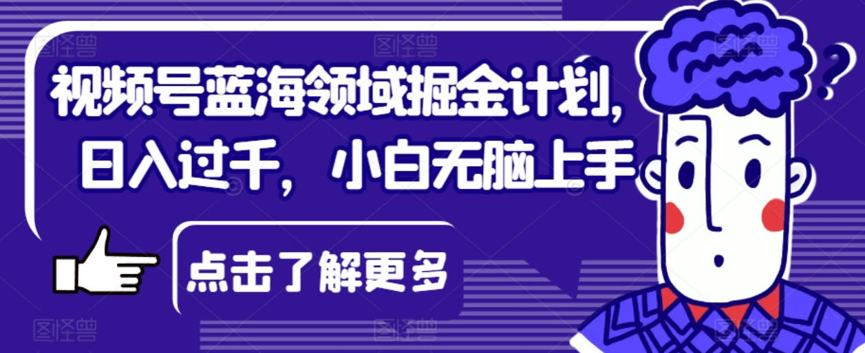 视频号蓝海领域掘金计划，日入过千，小白无脑上手