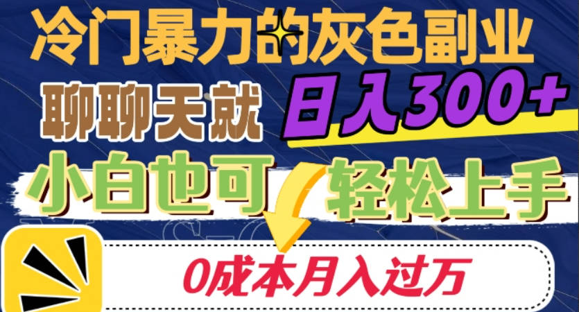 冷门暴利的副业项目，聊聊天就能日入300+，0成本月入过万【揭秘】