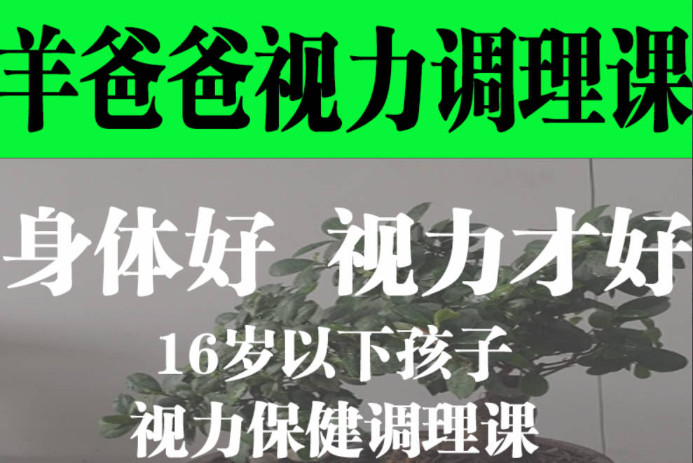 羊爸爸16岁以下孩子的视力保健调理课