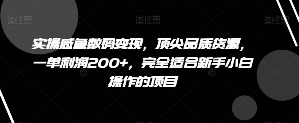 实操咸鱼数码变现，顶尖品质货源，一单利润200+，完全适合新手小白操作的项目【揭秘】