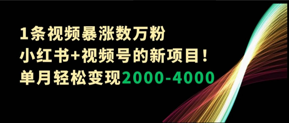 1条视频暴涨数万粉–小红书+视频号的新项目！单月轻松变现2000-4000