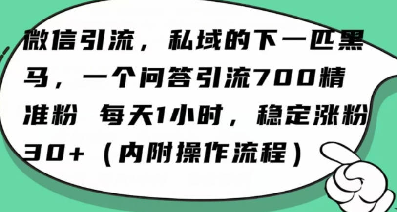 怎么搞精准创业粉？微信新赛道，每天一小时，利用Ai一个问答日引100精准粉