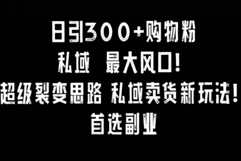 日引300+购物粉，超级裂变思路，私域卖货新玩法，小红书首选副业【揭秘】