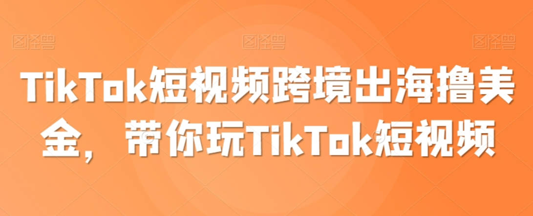 TikTok短视频跨境出海撸美金，带你玩TikTok短视频