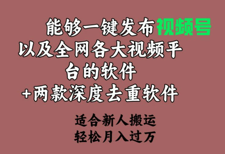 能够一键发布视频号以及全网各大视频平台的软件+两款深度去重软件 适合…