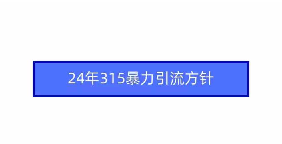 24年315暴力引流方针