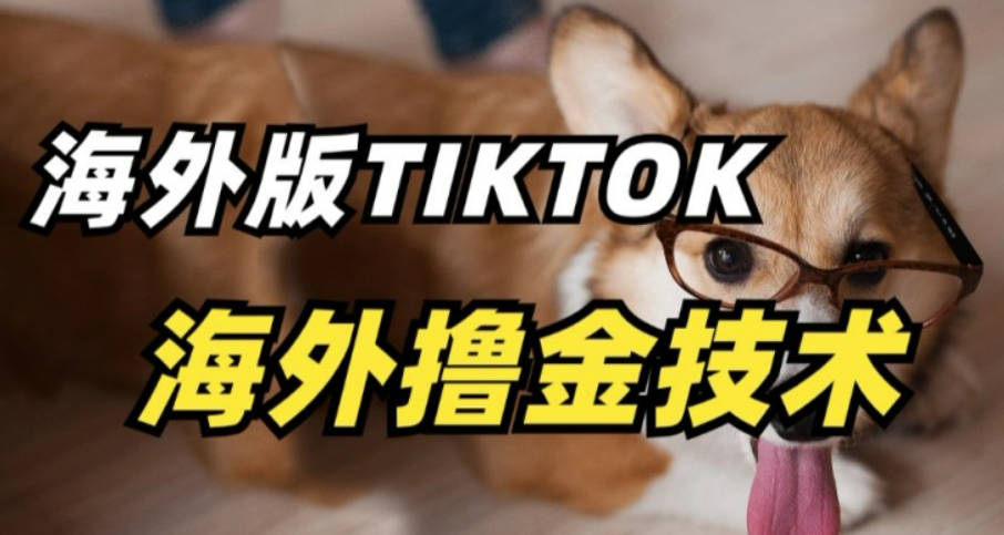 抖音海外版tiktok撸金技术，这个风口行业，赚钱真的不难【揭秘】