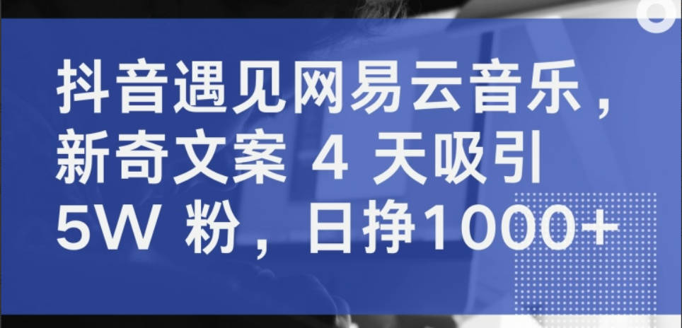 抖音遇见网易云音乐，新奇文案 4 天吸引 5W 粉，日挣1000+【揭秘】