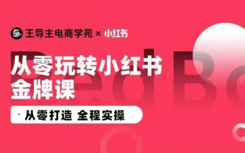 王导主·小红书电商运营实操课，从零打造 全程实操