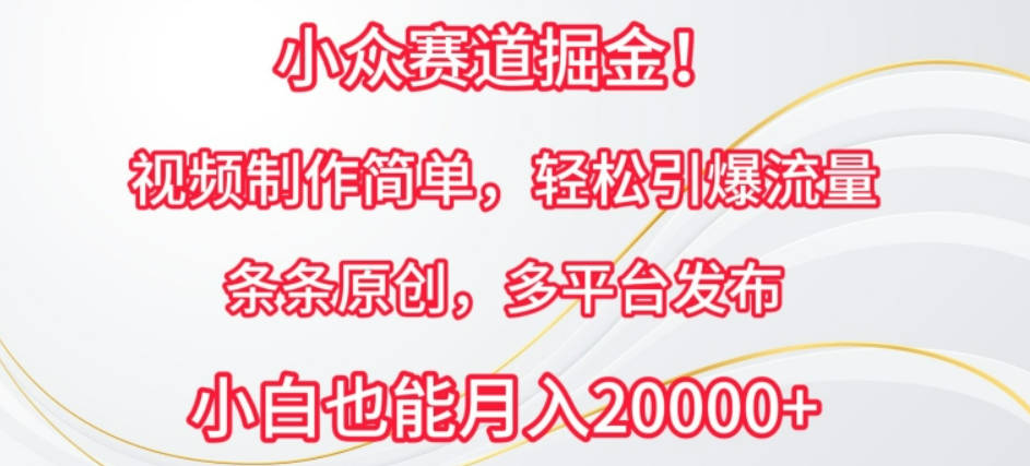 小众赛道掘金，视频制作简单，轻松引爆流量，条条原创，多平台发布【揭秘】