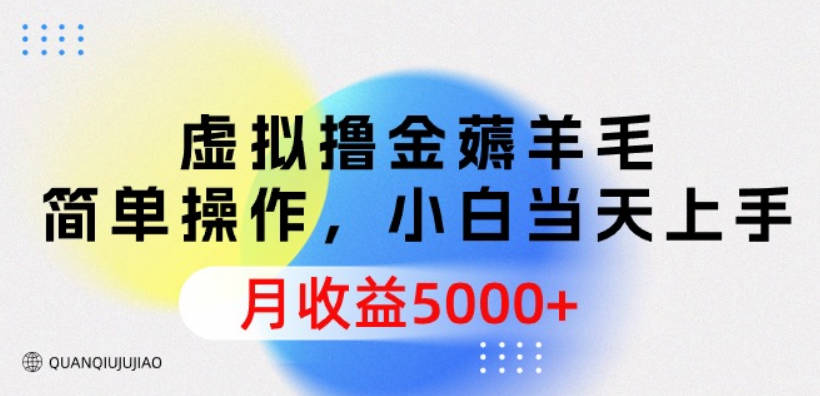 虚拟撸金薅羊毛，简单操作，小白当天上手，月收益5000+