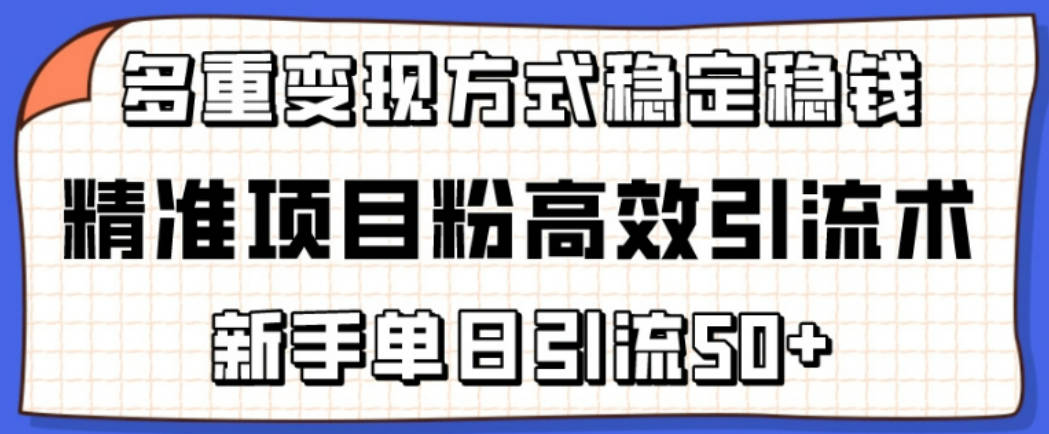 精准项目粉高效引流术，新手单日引流50+，多重变现方式稳定赚钱【揭秘】