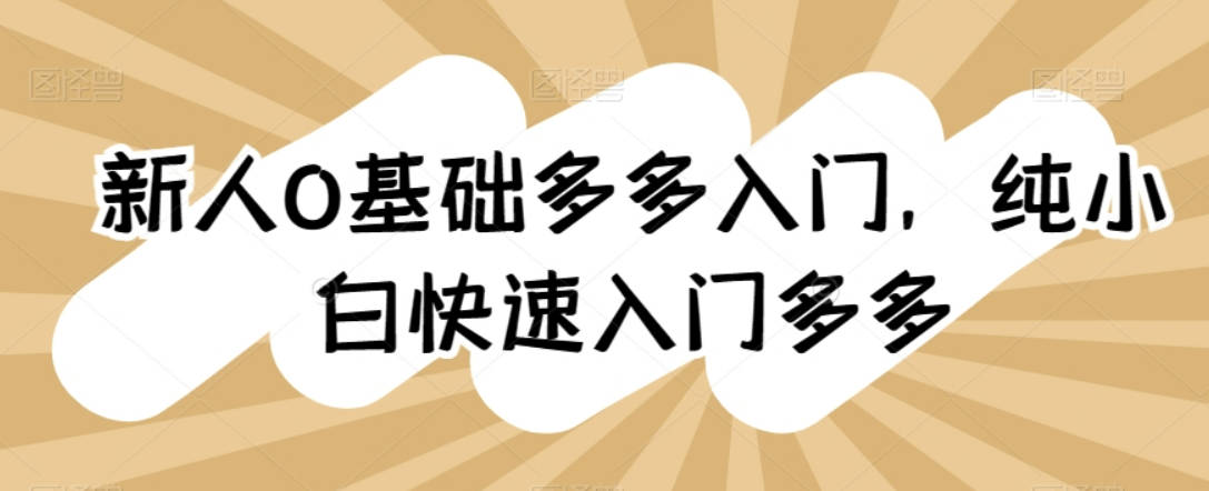 新人0基础拼多多入门，​纯小白快速入门多多