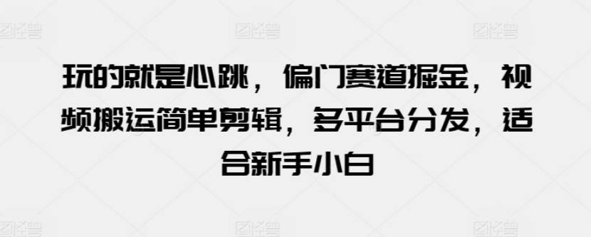 玩的就是心跳，偏门赛道掘金，视频搬运简单剪辑，多平台分发，适合新手小白