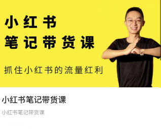 张宾小红书笔记带货课【更新25年2月】379节，流量电商新机会，抓住小红书的流量红利