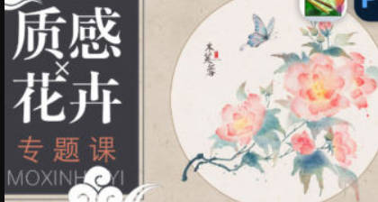 青禾质感花卉专题课【画质高清有素材】