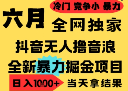 25年6月高爆抖音无人直播最新撸音浪掘金项目，小白可做，无脑日入1k+，门槛低可批量矩阵