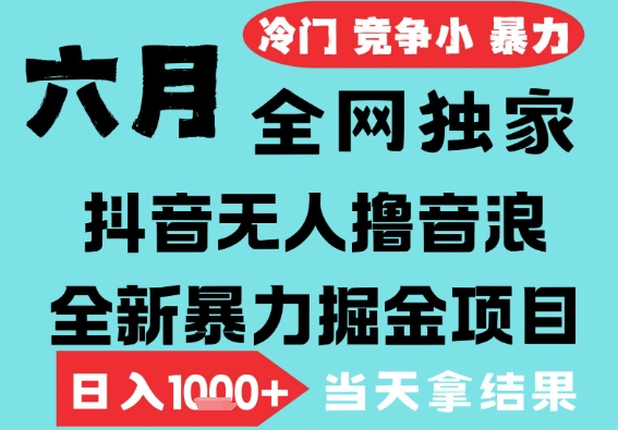 2025年6月高爆抖音无人直播最新撸音浪掘金项目，无脑日入1k+，低门槛小白可做，可矩阵放大