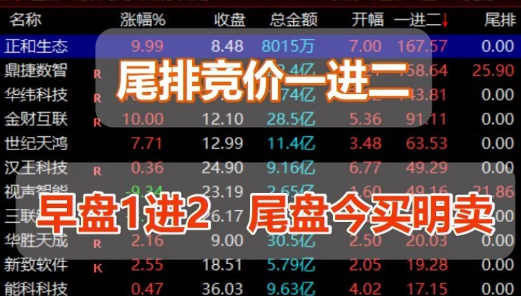 【尾排一进二】尾买明卖高胜率排序指标 尾盘买入 第二天冲高卖出