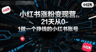 柒七小红书涨粉变现营，21天从0-1做一个挣钱的小红书账号