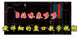 咪来哆哆《全网最易上手，盘口实操教学》视频课程
