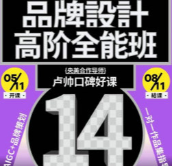 卢帅品牌设计高阶班第14期2025【画质高清有大部分素材】