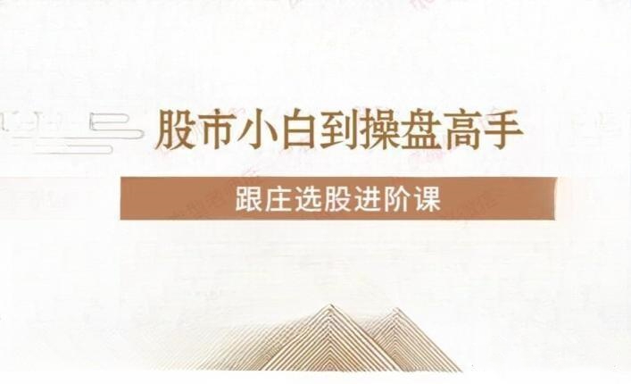 投机大拿跟庄选股进阶课