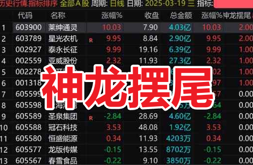 通达信【神龙摆尾】竞价排序副图指标，摒弃繁杂，信号少不开超市，直击牛股要害！