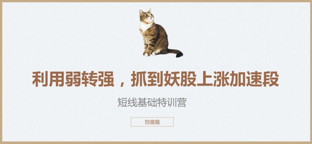 控盘猫短线基础特训营，控盘猫翻倍计划