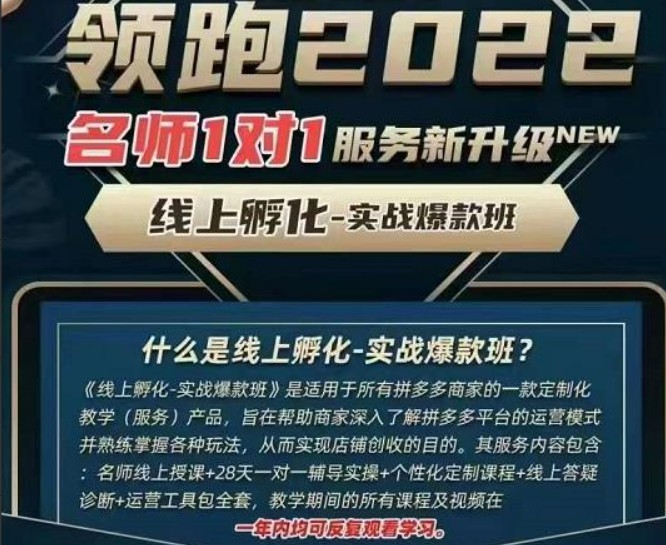 牛气学堂老陶电商【第9期】，拼多多名师线上领跑28天，线上孵化-实战爆款班