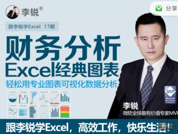 十七期：李锐Excel财务分析经典图表