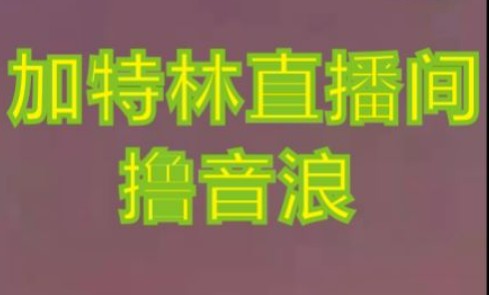 抖音加特林直播间搭建技术，抖音0粉开播，暴力撸音浪，2023新口子，每天800+【素材+详细教程】