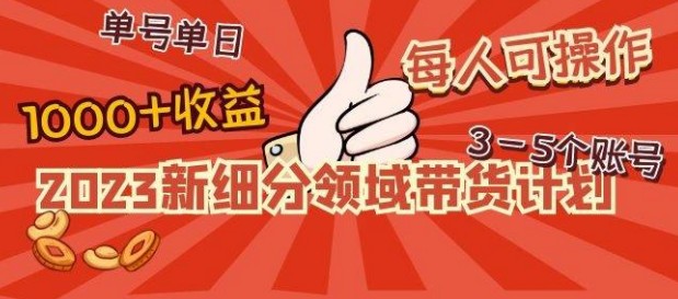 2023新细分领域带货计划：单号单日1000+收益不难，每人可操作3-5个账号