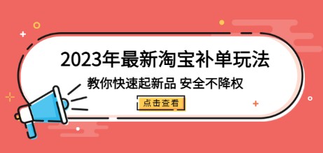 2023年最新淘宝补单玩法，教你快速起·新品，安全·不降权（18课时）